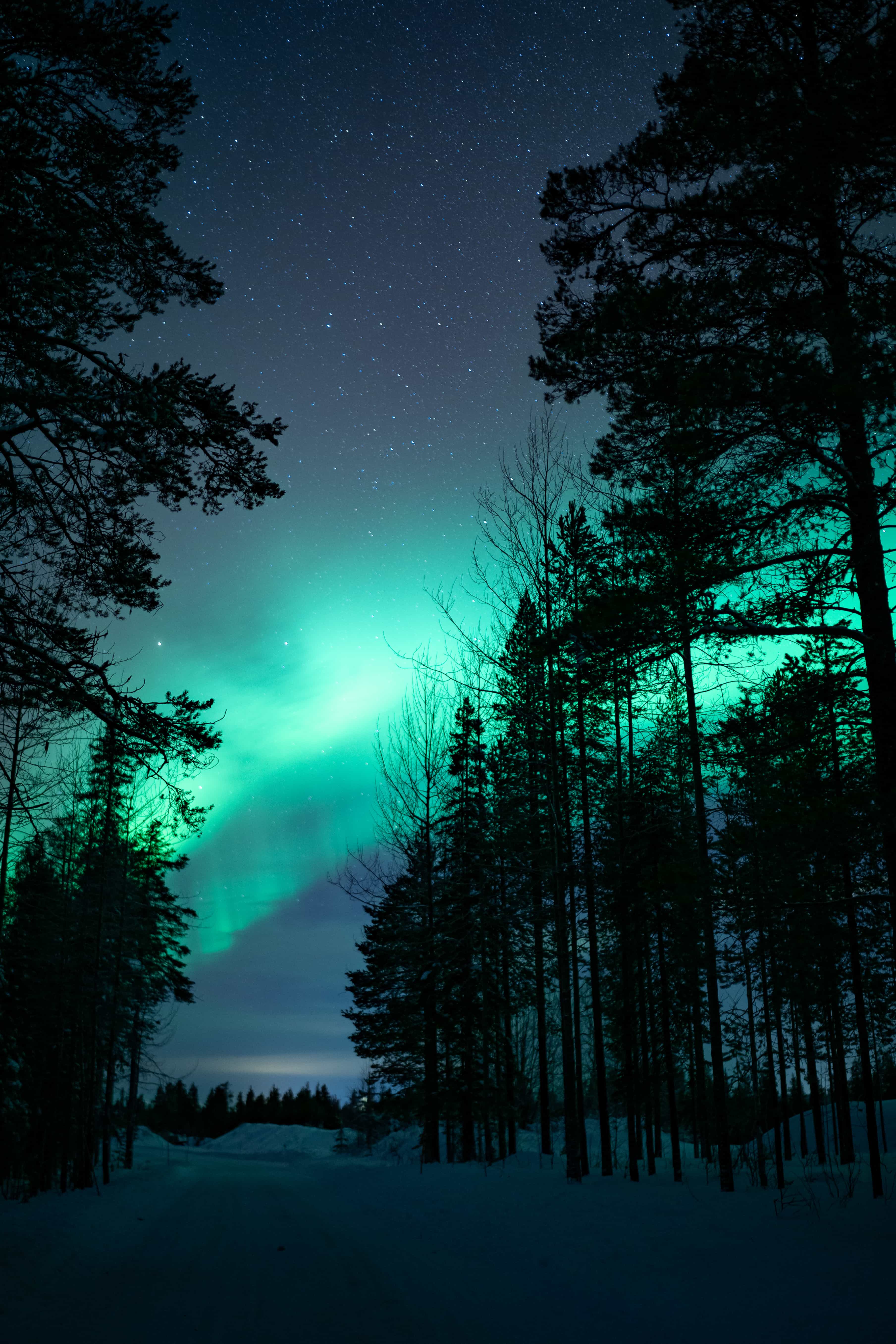 Kaksi ihmistä pitelee lumilautailulautoja lumisessa maisemassa