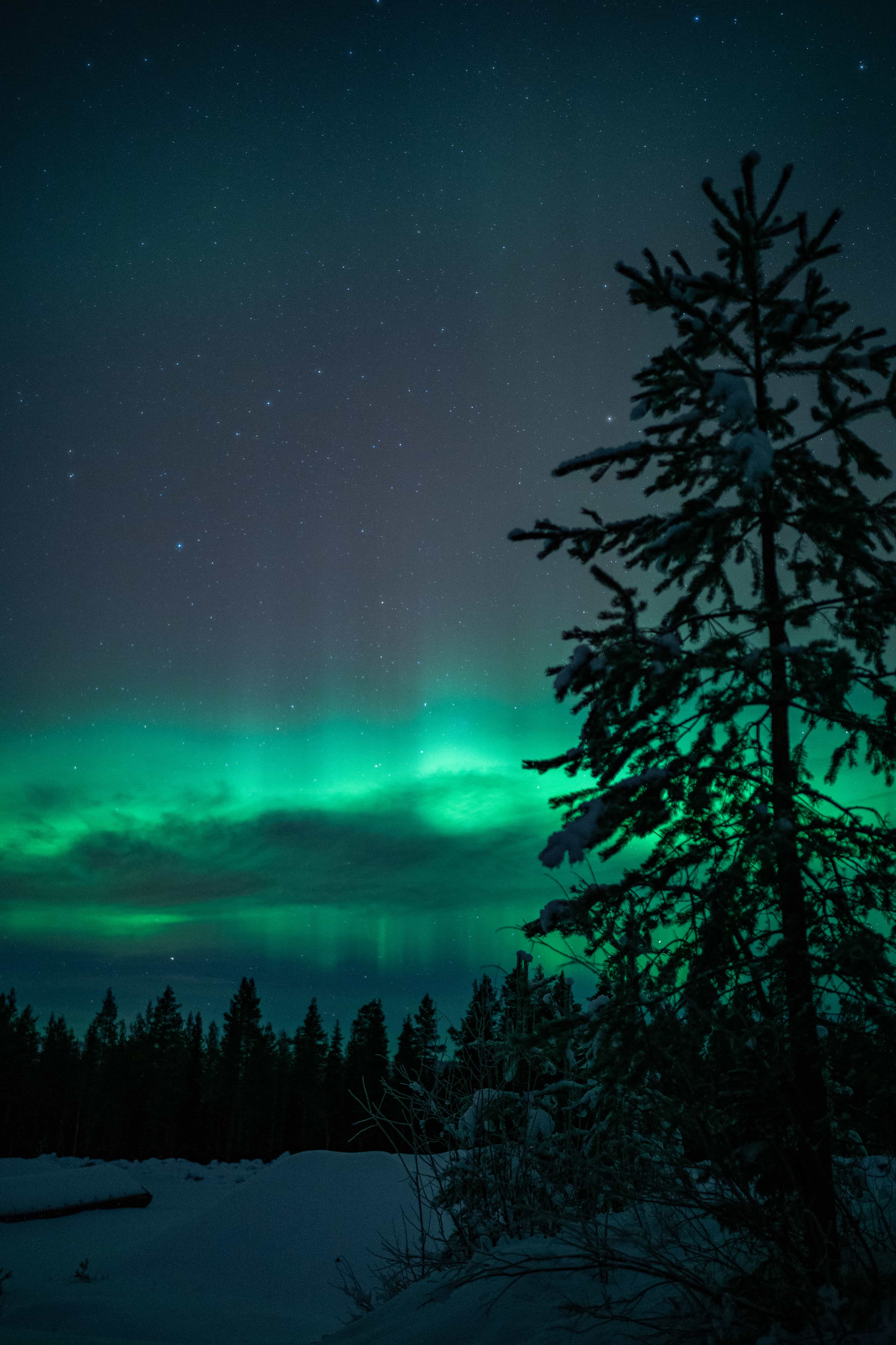 Aurora borealis in the night sky