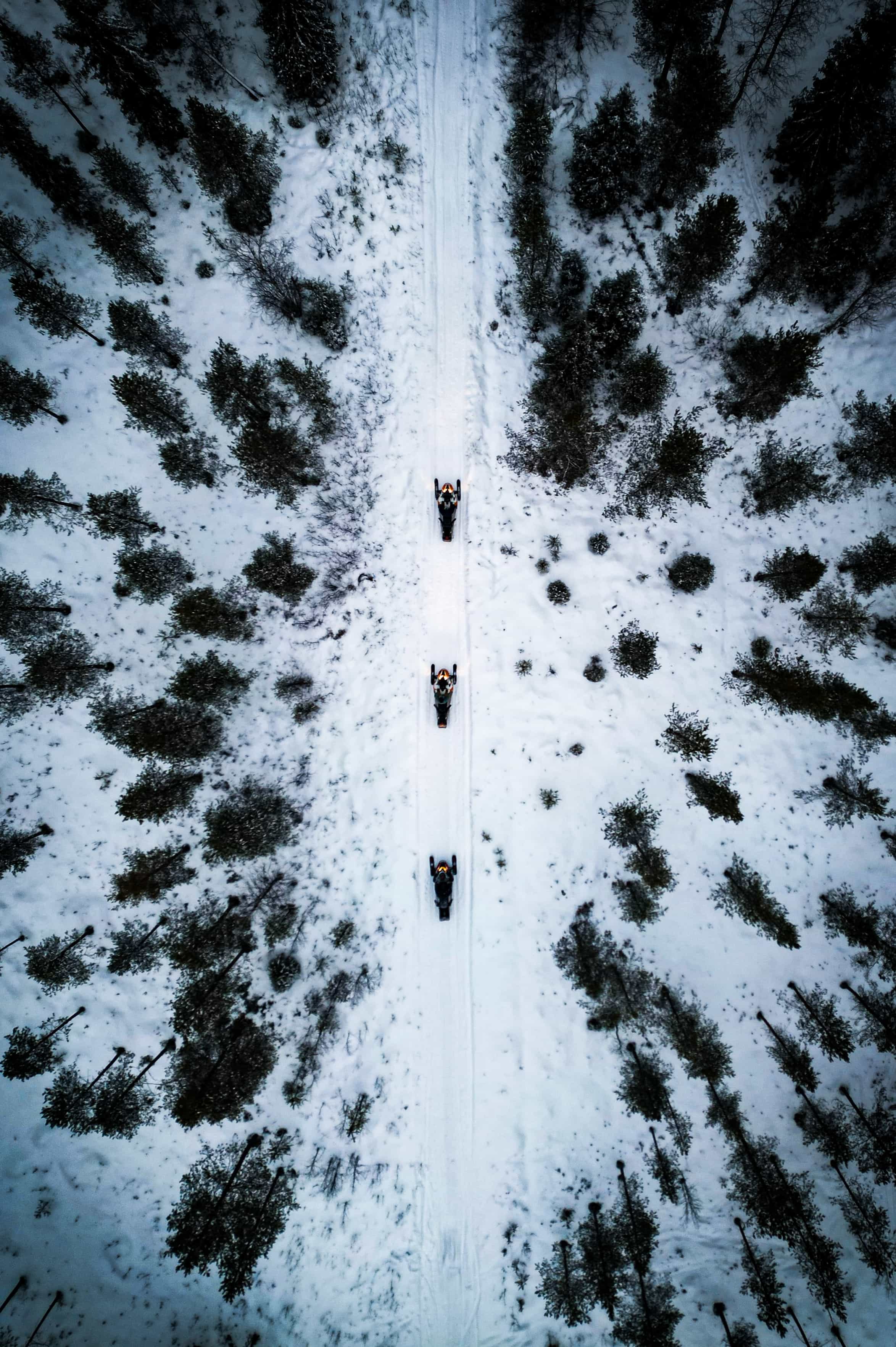 Snowmobile riders enjoying the winter scenery