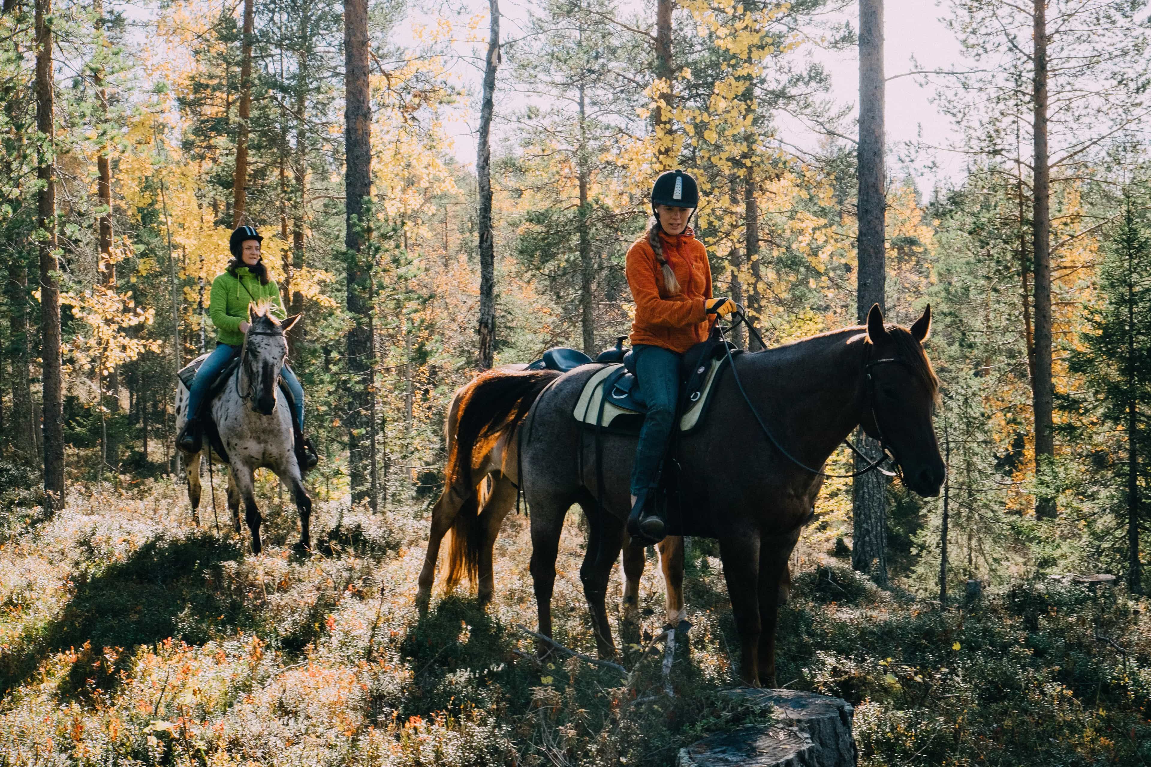 Winter horseback riding experience