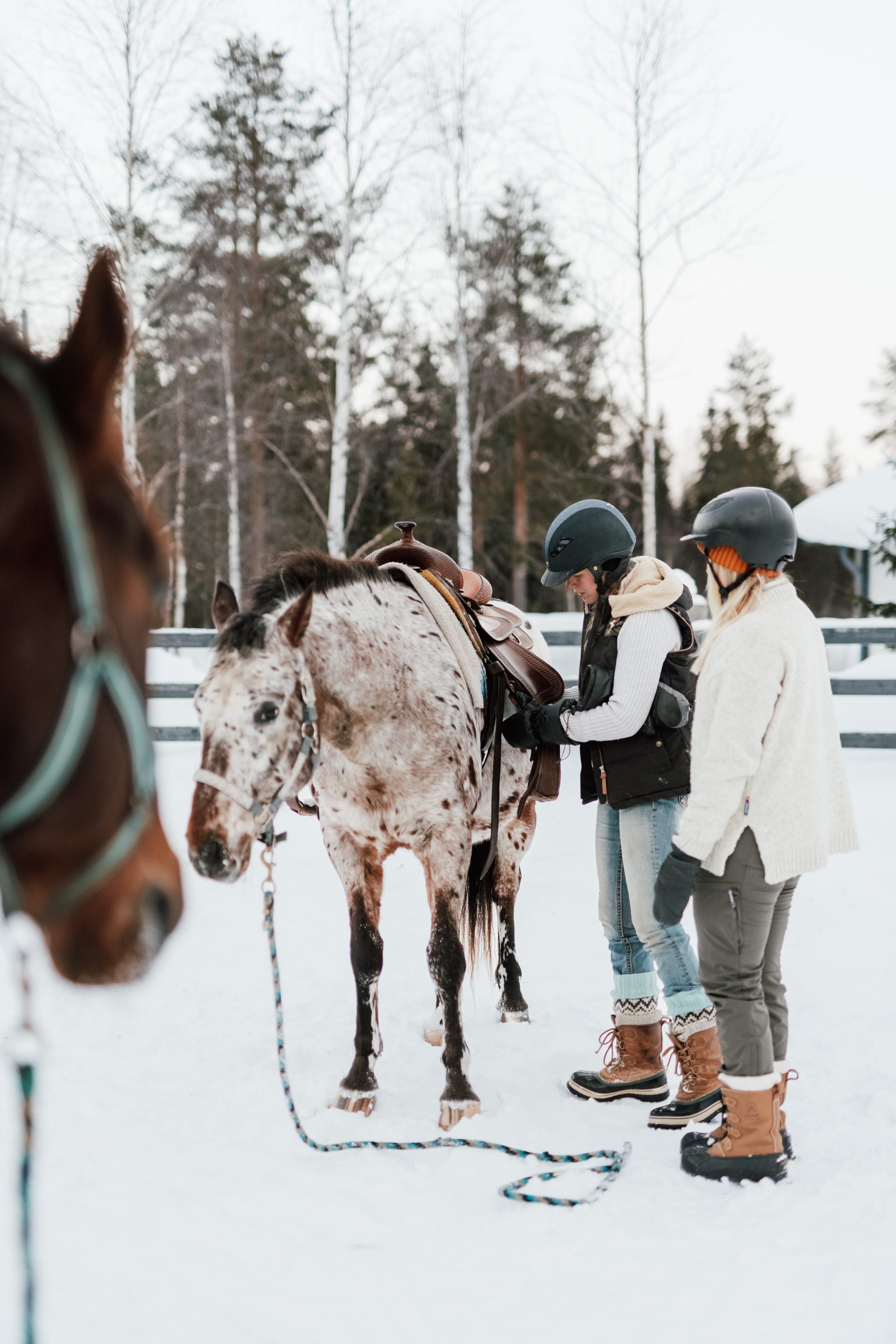 Moottorikelkkaretki lumisen metsän halki
